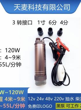Smallsubmersible12V24vwaterPump,fuelpump,d-ieselpump