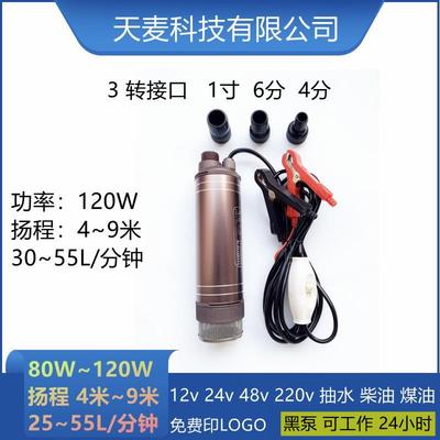 Smallsubmersible12V24vwaterPump,fuelpump,d-ieselpump