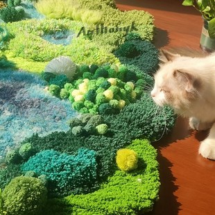 *非成品* 万物生桑盐湖苔藓地毯材料包()