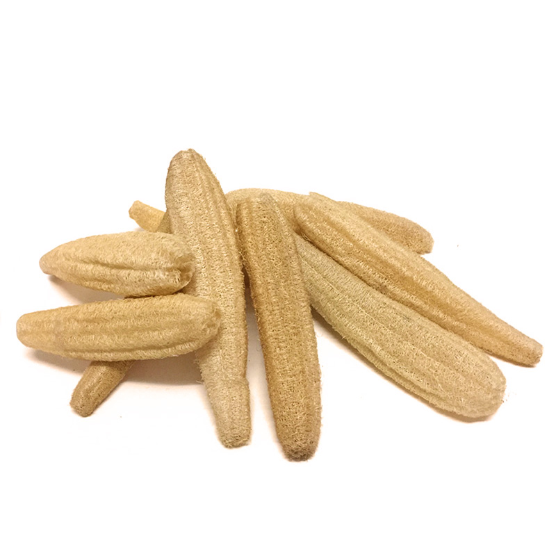 山区天然丝瓜络洗碗刷锅搓背洗澡下奶农家老干丝瓜瓤水瓜囊筋布皮