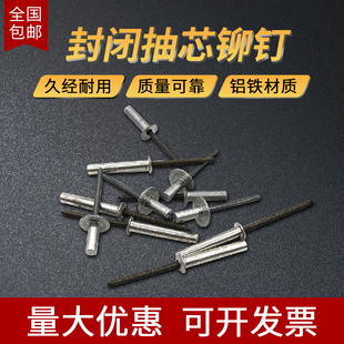 封闭型抽芯铝铆钉 防q水拉铆钉沉头密封式 拉铆钉3.2