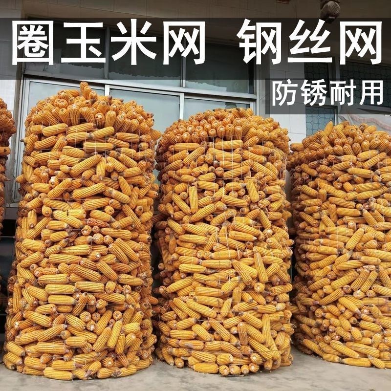 防锈镀锌钢丝网铁丝围栏养鸡养殖防护网钢丝电焊网菜园果园玉米网