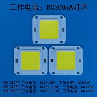 高亮led投光灯灯芯集成光源20W30W50W防爆路灯工矿灯芯片灯板150V