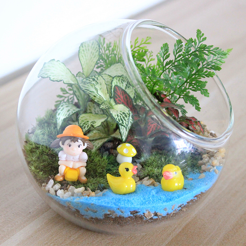 包邮苔藓微景观生态瓶创意办公室小盆栽迷你植物玻璃盆景diy绿植