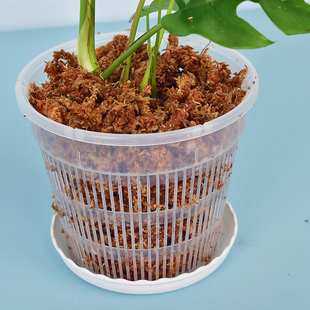 水培植物专用盆绿萝定植盆无土兰花塑料育苗盆大号龟背竹透明加厚