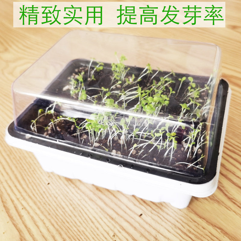 扦插育苗专用盒育苗神器带盖营养杯塑料钵蔬菜月季多肉扦插盆穴盘,鲜花速递/花卉仿真/绿植园艺,育苗盘/营养钵,淘宝优惠券,粉丝福利购,淘宝优惠卷