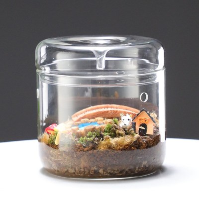 微景观玻璃罩生态苔藓植物办公室创意微观盆栽盆景玻璃露集杯
