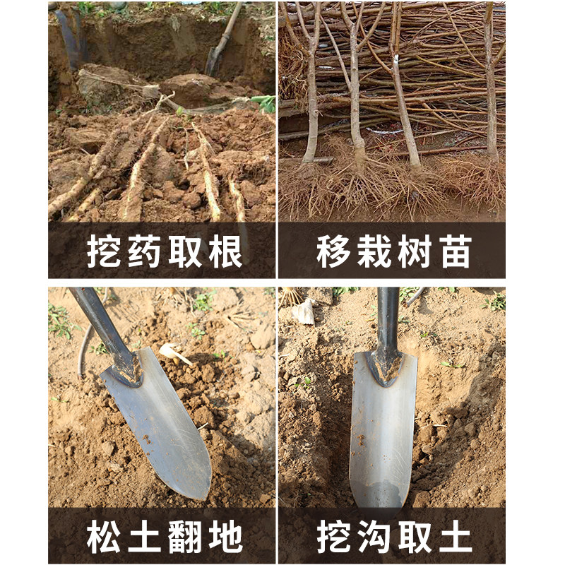 挖沟铲铁锹取土器农用挖树根工具挖坑挖土神器细长窄锹挖山药尖锹,农机/农具/农膜,铲子,淘宝优惠券,粉丝福利购,淘宝优惠卷