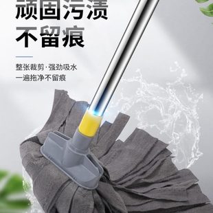 墩布 魔力布拖把家用一拖净南韩巾无水痕地拖强力吸水干湿两用老式