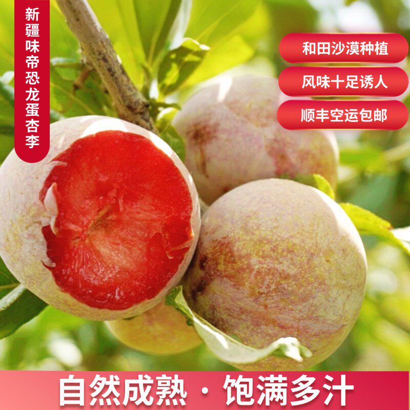 新疆沙漠恐龙蛋新疆恐龙蛋杏李新鲜应季孕妇水果多汁顺丰空运