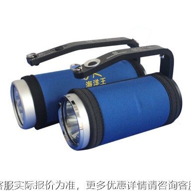 RJW7102电A/LTICR手提式防爆探照灯RJW7101可充电EDL光筒聚便携式