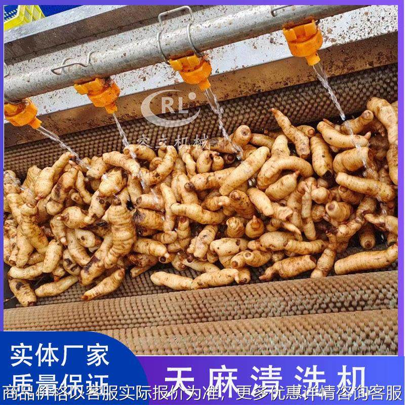 供应洛神花清洗机 辊刷式猪苓南姜清洗去泥机 商用琵琶果清洗机,清洗/食品/商业设备,果蔬加工设备,淘宝优惠券,粉丝福利购,淘宝优惠卷