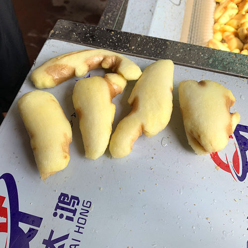 新型毛辊生姜清洗去皮机 鲜姜去皮清洗机 大型根茎毛辊清洗机