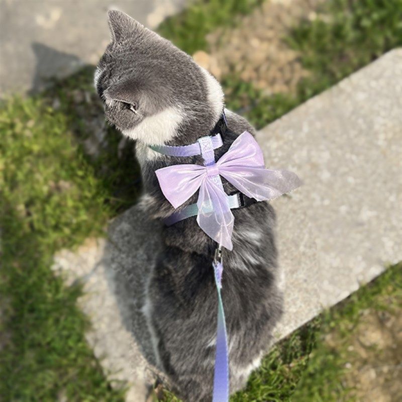 猫咪牵引绳防挣脱外出专用神器遛猫绳兔子绳狗链子可调节宠物用品,宠物/宠物食品及用品,猫牵引绳,淘宝优惠券,粉丝福利购,淘宝优惠卷