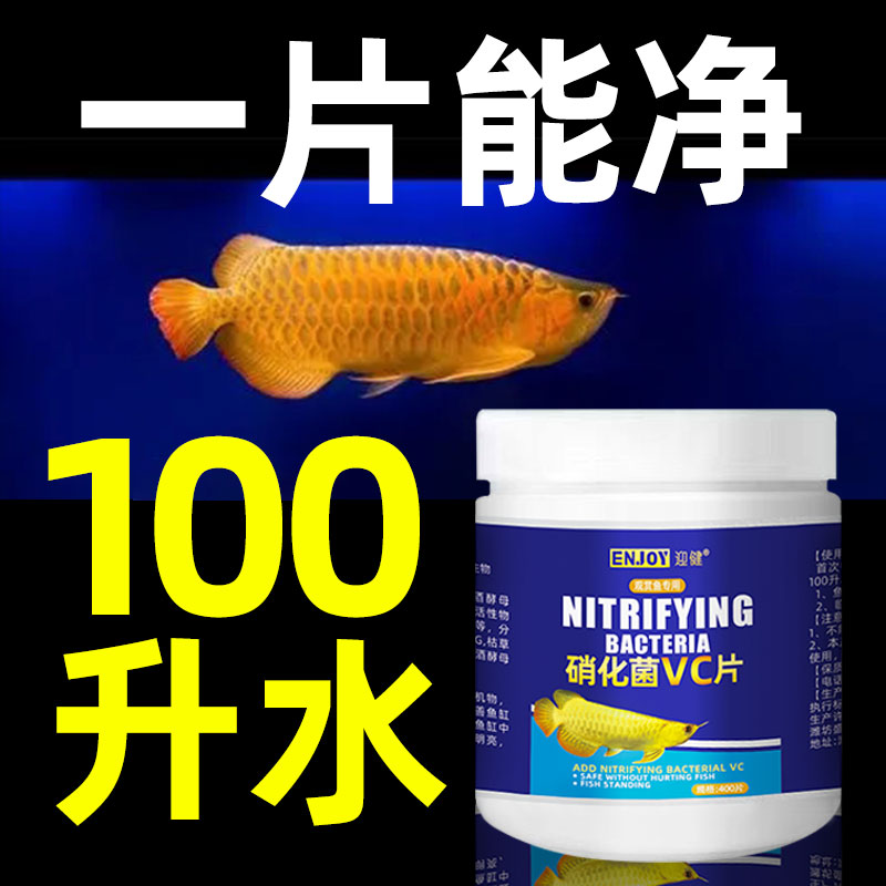 硝化细菌鱼缸用维生素C片鱼用vc水族观赏鱼净水剂消化细菌硝化菌