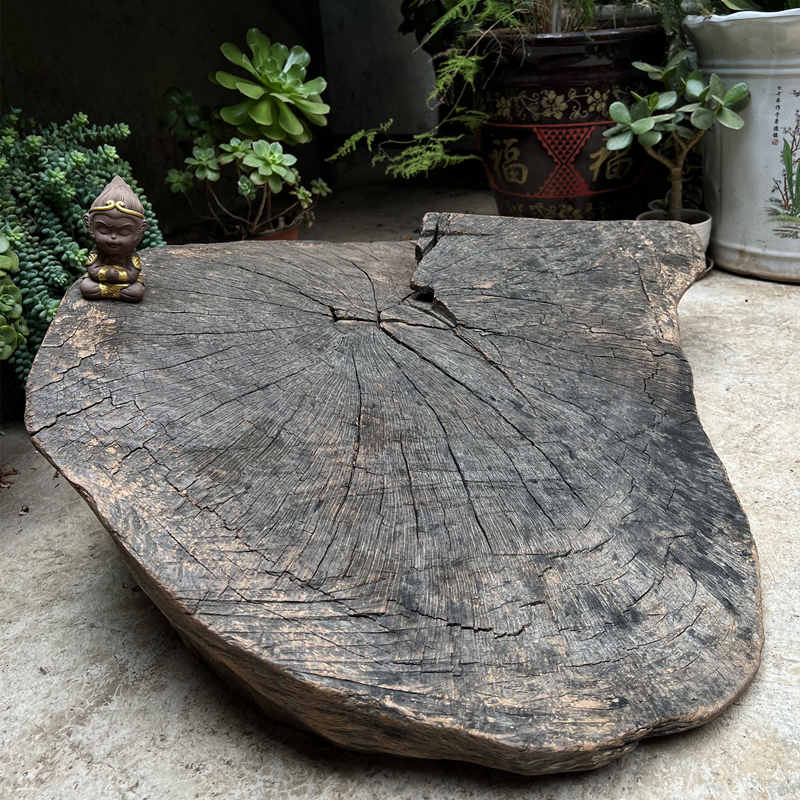 老木枯木黑木头铁栎木风化木摆件茶空间创意特色木头装饰摆台