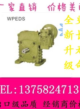 WPEDS蜗轮蜗杆铁壳立式电机法兰输入型小型涡轮减速器通用减速机