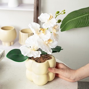 蝴蝶兰专用陶瓷花盆北欧轻奢高级感花瓶盆栽奶油风兰花盆网红陶盆