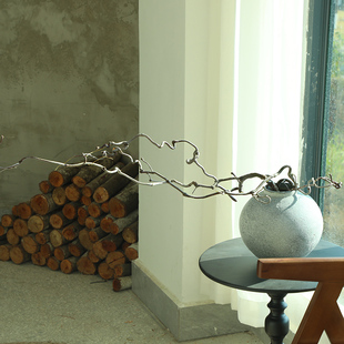 龙枣干枝树枝树干装饰天然弯曲龙爪插花干枝侘寂艺术风干禅意干花