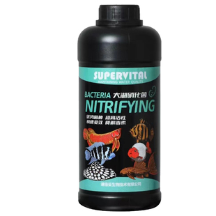 速倍妥硝化细菌二代富氧益生菌活性红龙维生素水稳鱼缸水质必定清
