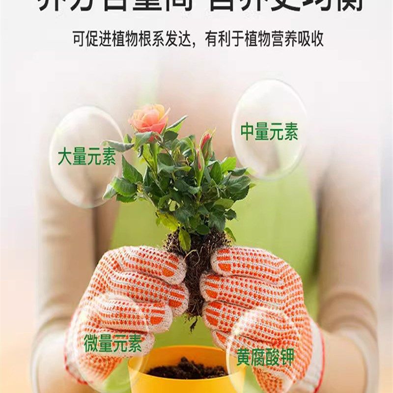 八个老头生根剂家庭园艺花卉果蔬植物快速生根液补充养分养根壮根,鲜花速递/花卉仿真/绿植园艺,家庭园艺肥料,淘宝优惠券,粉丝福利购,淘宝优惠卷