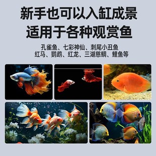 免洗鱼缸底砂造景雨林沙南美溪流沙石火山石头石英白沙子乌龟铺底