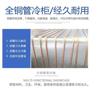 冰熊冰柜518升单温铜管商用大容量冷冻冷藏展示柜熟食冰箱啤酒柜