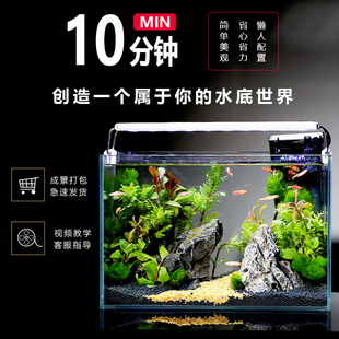 鱼缸客厅生态小型造景全套自循环系统观赏家庭电视柜旁一体免换水
