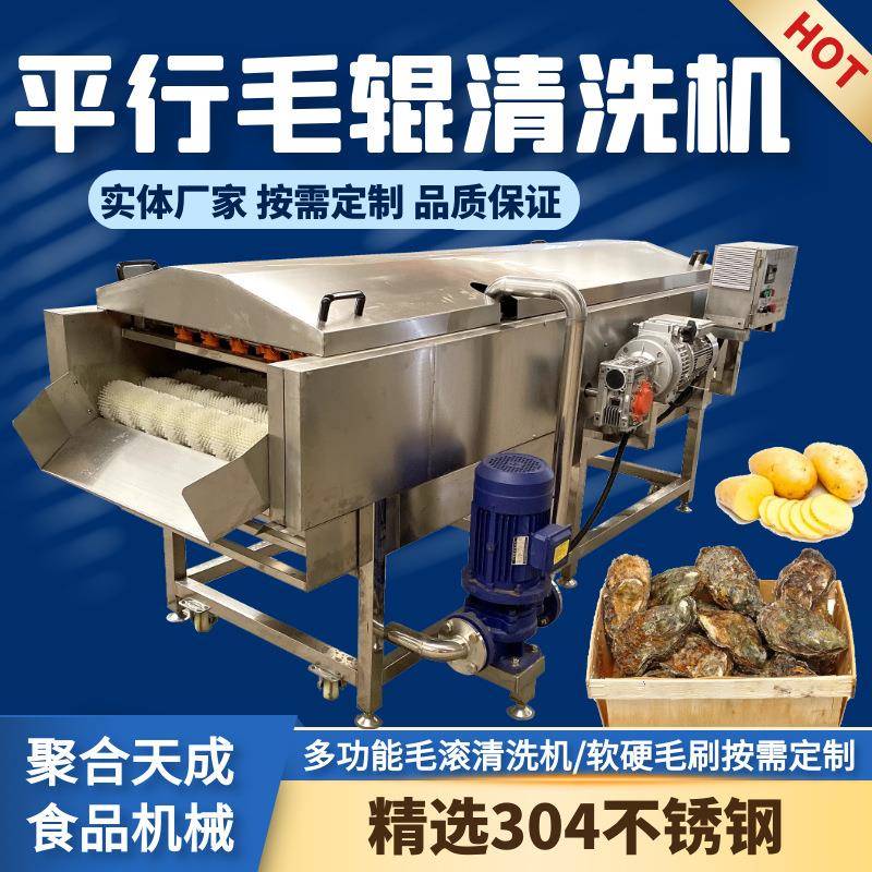 厂家贝贝南瓜毛辊清洗设备柑橘柠檬清洗打蜡海蛎子生蚝高压清洗机
