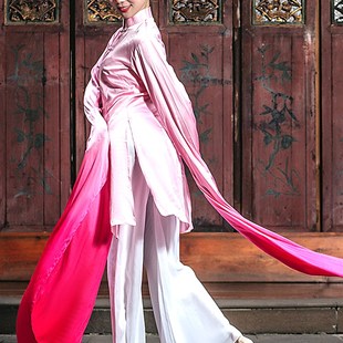 上衣女舞蹈服装 舞蹈服装 演出服成人惊鸿舞水袖 古典舞练功服甩袖