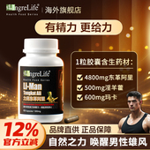 IngreLife璎瑞芙力男东革阿里胶囊男士 保健品补玛卡淫羊藿旗舰店