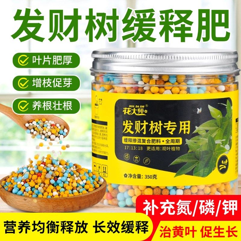 发财树肥料专用肥缓释肥家用补充氮磷钾营养幸福树绿植盆栽通用型,鲜花速递/花卉仿真/绿植园艺,家庭园艺肥料,淘宝优惠券,粉丝福利购,淘宝优惠卷