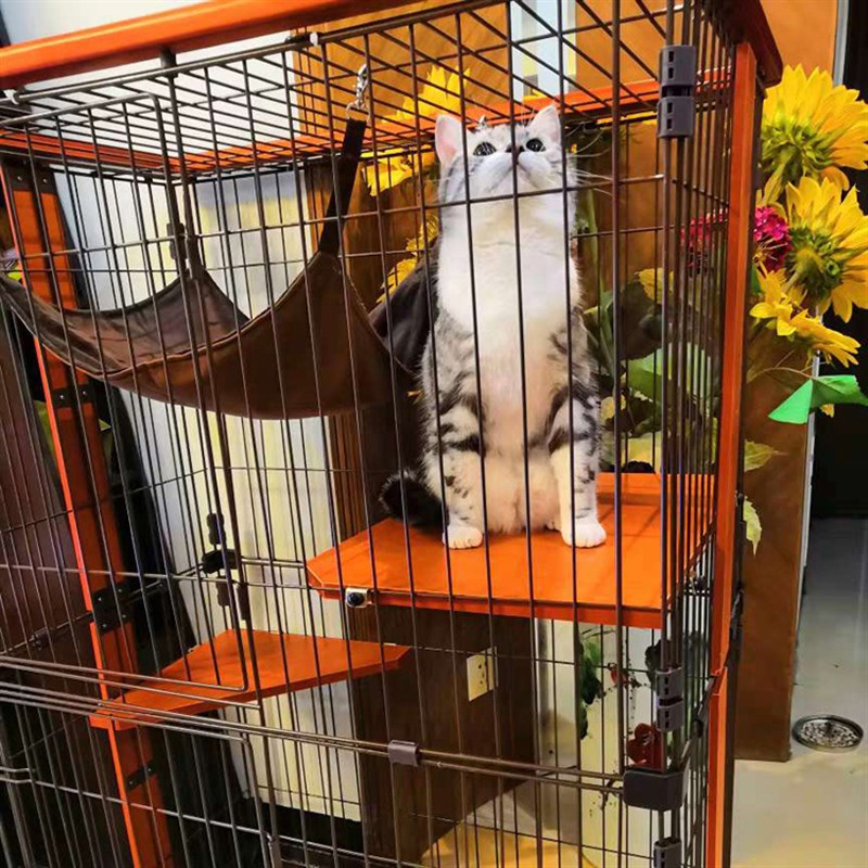 出口豪华猫咪笼子大号家用特大双层三层实木猫笼木质猫别墅猫窝
