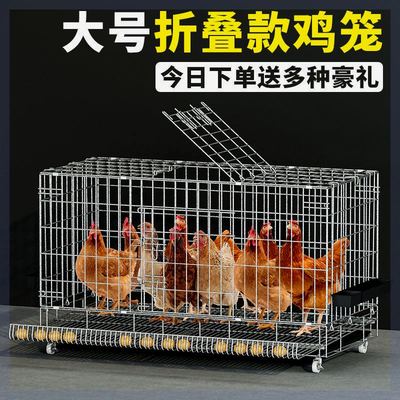 鸡笼子家用养殖笼折叠鸭笼鹅笼狗笼自动滚蛋鸡笼家用大号