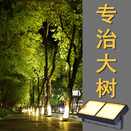 景观射灯100瓦200W大功率园林绿化工程亮化led暖黄光照树灯射树灯
