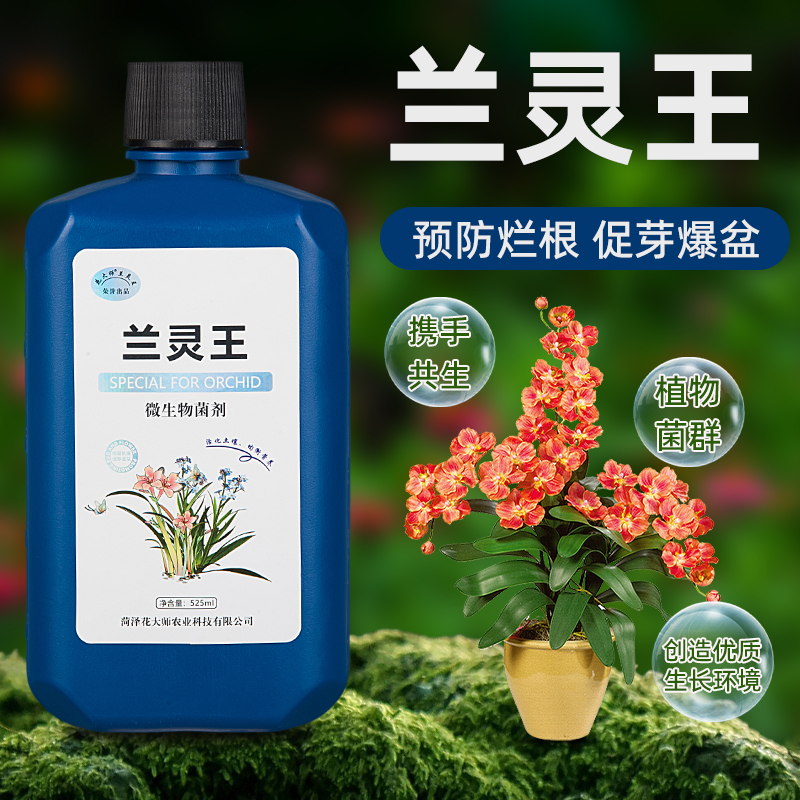 兰灵王兰花专用肥营养液肥料蝴蝶兰菌群君子兰陵王兰科促花活化剂