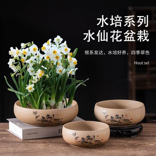 花盆陶瓷家用水培铜钱草水仙盆无孔粗陶水养器皿中式复古桌面盆缸