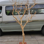 景观树植物去皮枯树枝干许愿树装 饰枯树摆件户外造型树庭院干树枝