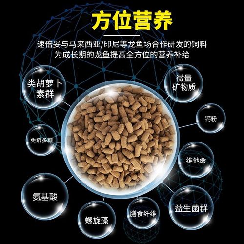 红龙饲料红龙鱼金龙鱼银龙鱼雷龙用鱼食鱼缸观赏鱼鱼粮红龙专用粮