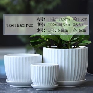 玫瑰花专用花盆北欧现p代简约种草莓的花盆陶瓷客厅朱顶红用带托