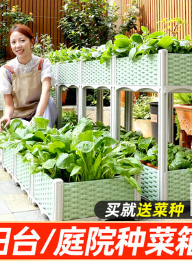 绿色种菜专用箱阳l台蔬菜种植箱室外楼顶塑料花盆长方形家庭神器