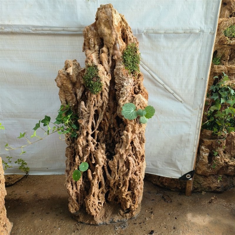 吸水石大型芦管石 原石 天然 上水石盆景假N山 家居装饰造景观赏