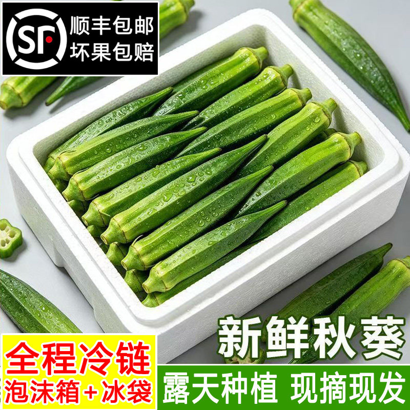 山东新鲜秋葵当季新鲜蔬菜