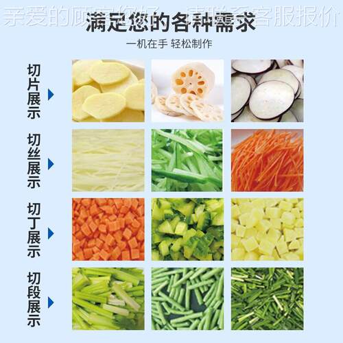 多功8能自动全双头商用切菜切丝切AMZ片切丁切块切段食堂机01切菜