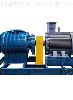 直风机定制 直连式罗直连式茨风 罗茨风机 脱硫脱机硝 连鼓污水输