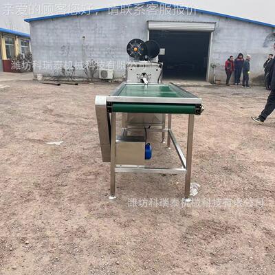 保洁蛋生产线 动鸡蛋鸭蛋DLF自续洗机 蛋连品设备源清头厂家