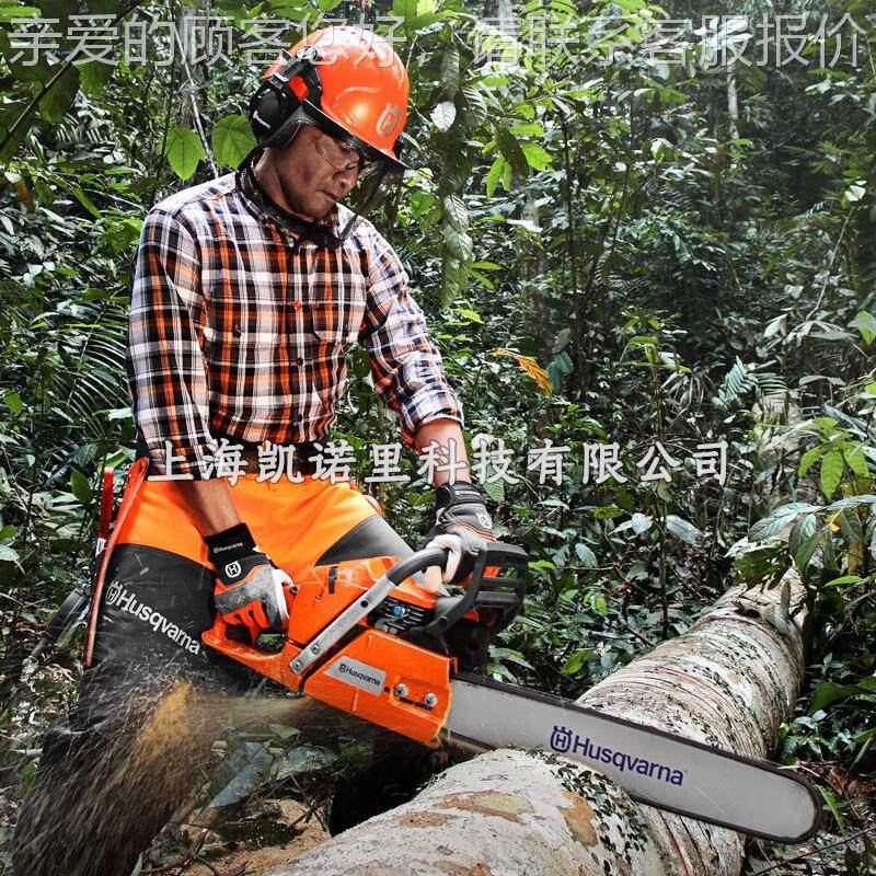 365X-tor365to寸rq油X锯20手持伐-木锯大功率二冲程链锯372XP汽油,农机/农具/农膜,割灌机/割草机/油锯,淘宝优惠券,粉丝福利购,淘宝优惠卷