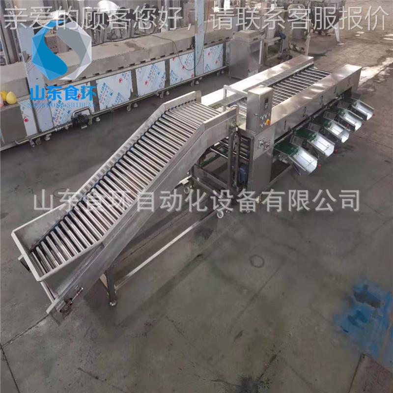 滚杠式土豆成分级机 马铃IXL薯级果橘子分机 红薯干苹套设备