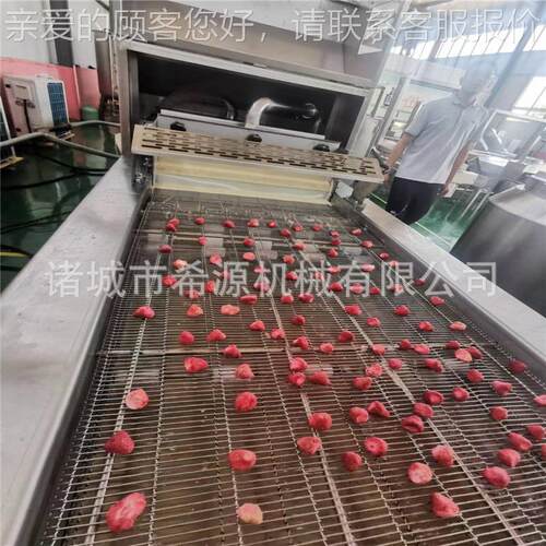 甜甜全圈巧克力涂层机 机OXS秋葵裹浆 自动上浆机 冻干水果涂巧克