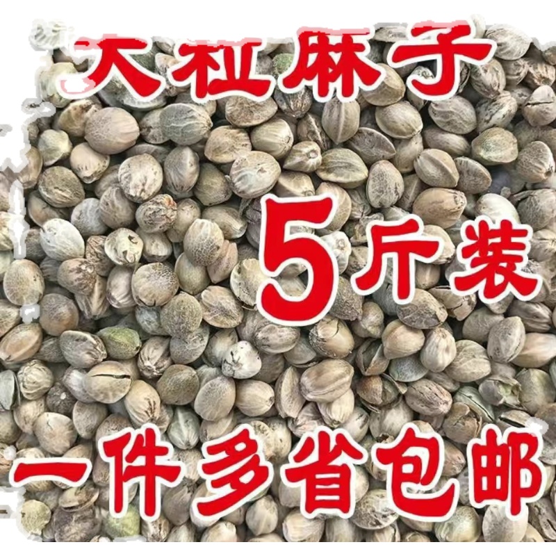大颗粒麻子鸟食 鸟粮鹦鹉粮鸽粮麻籽 火麻仁仓鼠粮火麻子5斤
